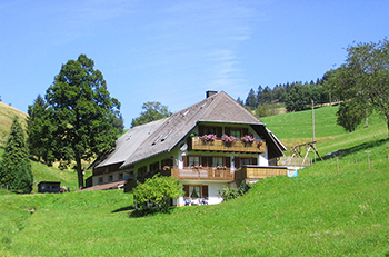 Harzlochhof - Hausansicht mit Weitblick