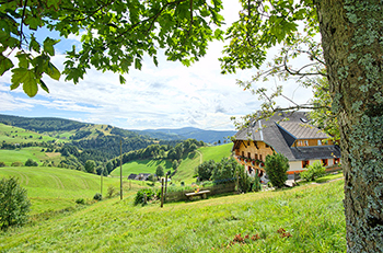 Zum Krummholz - Hausansicht mit Weitblick