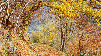 Herbstspaziergang