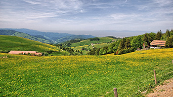 Ausblick in Richtung Rheintal