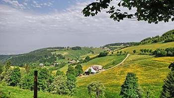 Herrlicher Ausblick über den Stohren