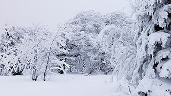 Winter am Stohren